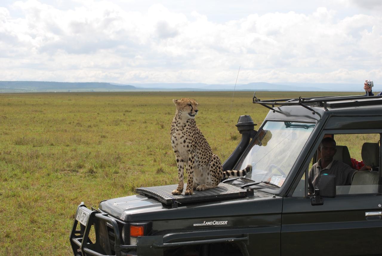 Hotel Sekenani Camp Maasai Mara Ololaimutiek Exterior foto